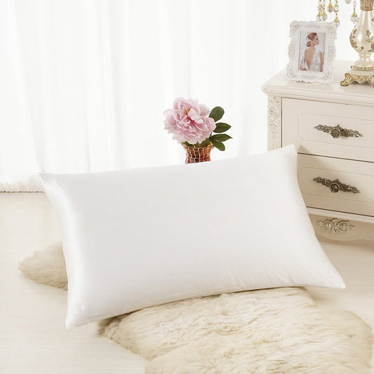 Silkova Silk Pillow Case